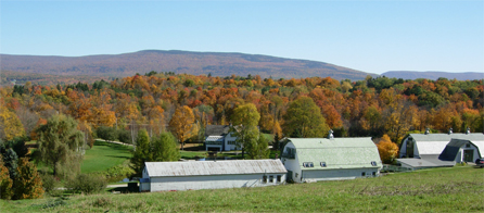 Taraden in the foreground.  Fall foliage and mountains in the background.