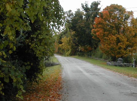 View of Park Street in fall.